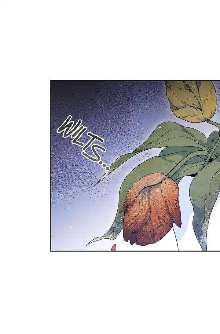 The Duchess 50 Tea Recipes - Chapter 1 Page 40