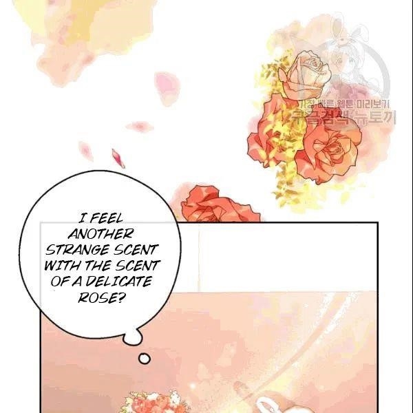 The Duchess 50 Tea Recipes - Chapter 103 Page 74