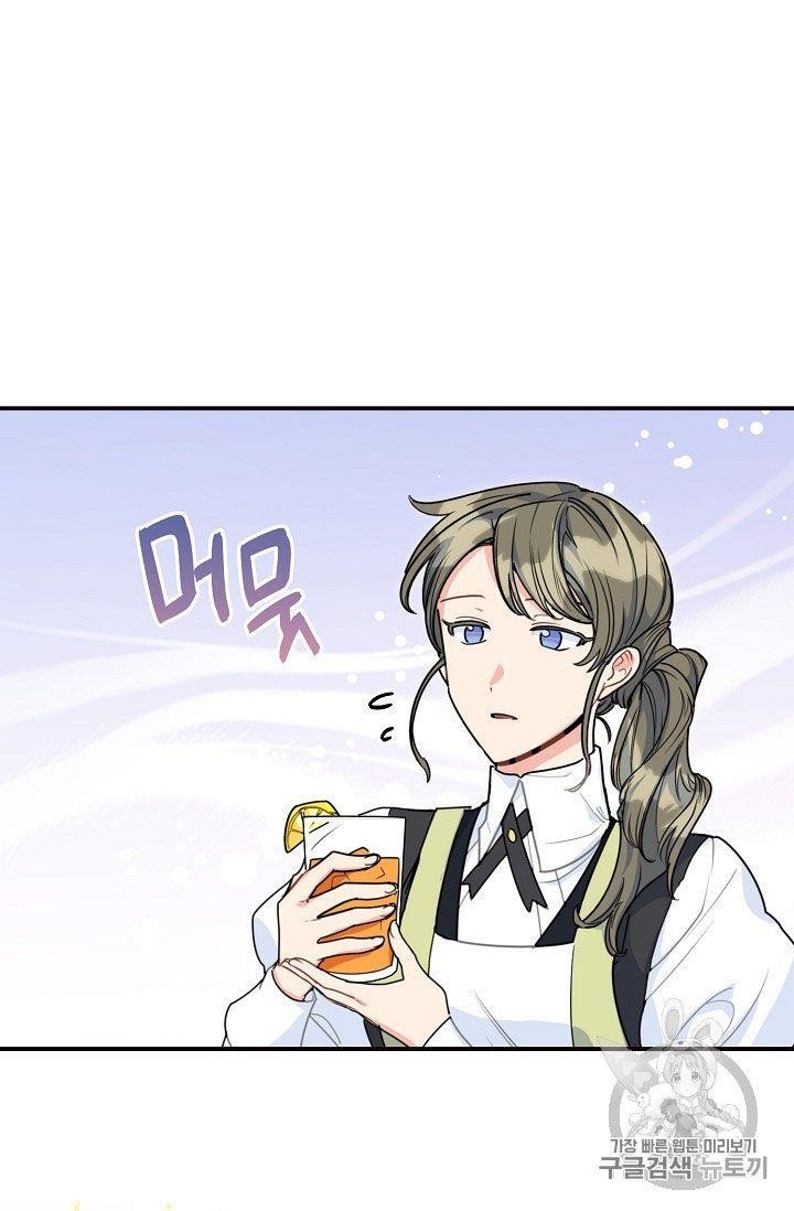 The Duchess 50 Tea Recipes - Chapter 56 Page 47