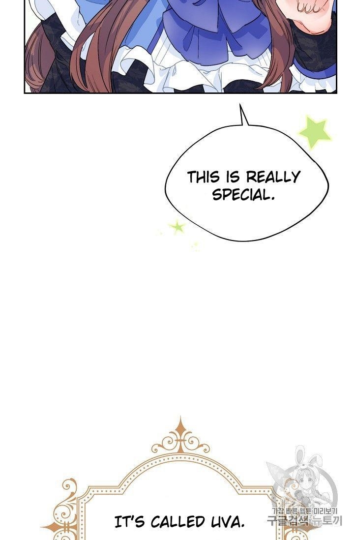 The Duchess 50 Tea Recipes - Chapter 77 Page 14