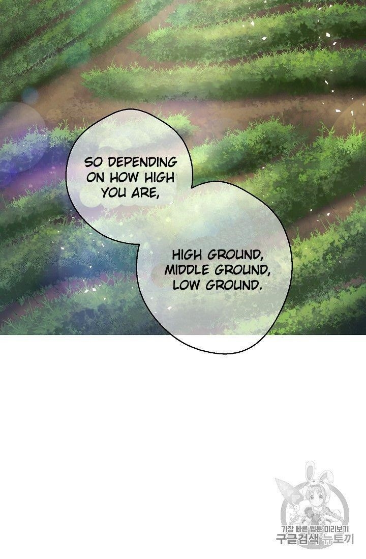 The Duchess 50 Tea Recipes - Chapter 77 Page 19