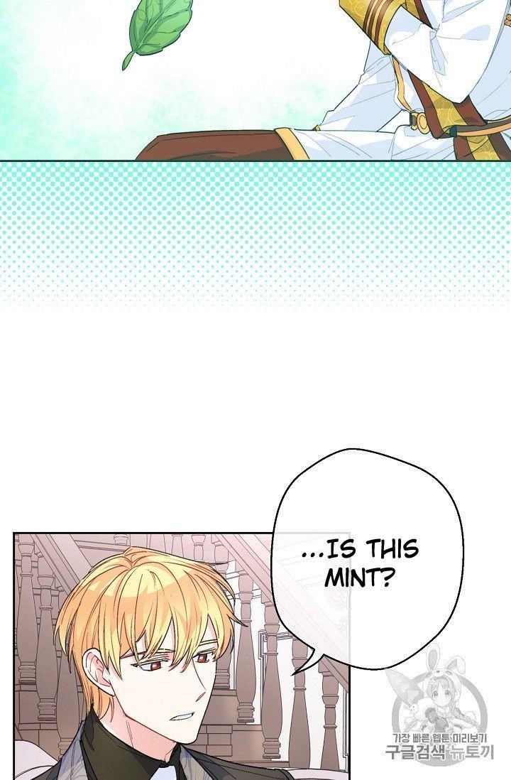 The Duchess 50 Tea Recipes - Chapter 77 Page 38