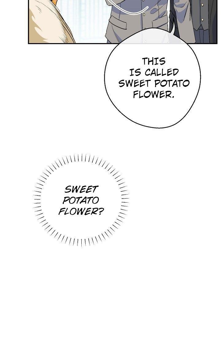 The Duchess 50 Tea Recipes - Chapter 79 Page 64