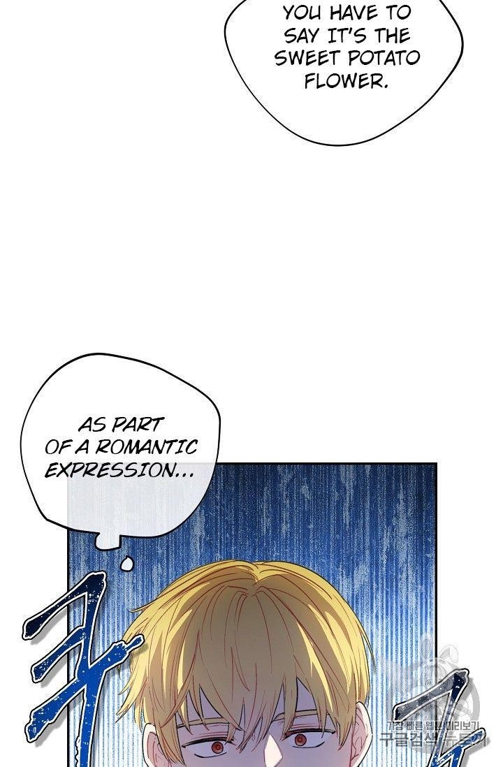 The Duchess 50 Tea Recipes - Chapter 79 Page 8