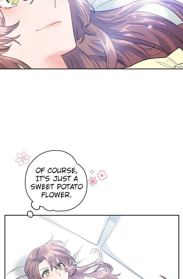 The Duchess 50 Tea Recipes - Chapter 80 Page 16