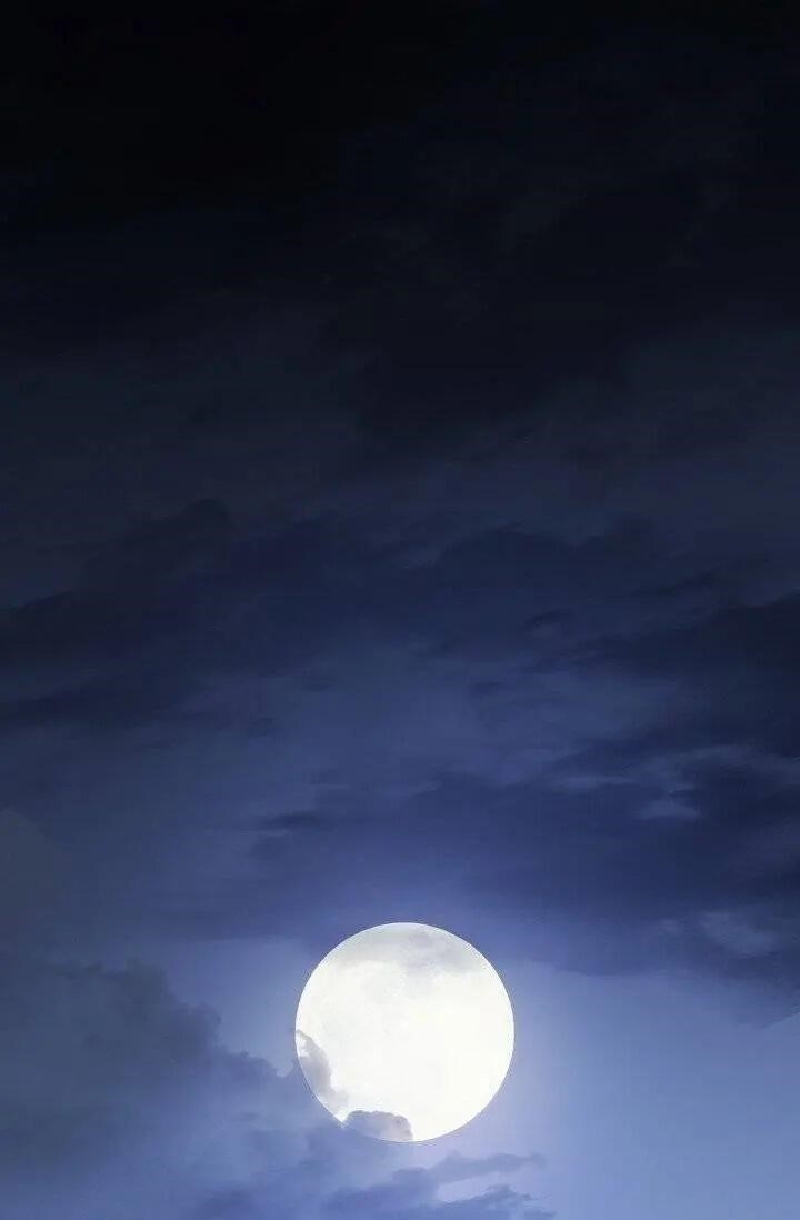 The Duchess 50 Tea Recipes - Chapter 95 Page 1