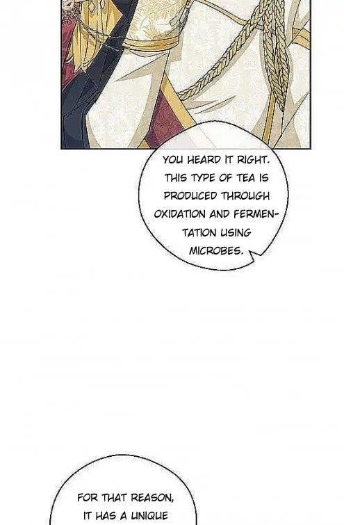 The Duchess 50 Tea Recipes - Chapter 97 Page 16