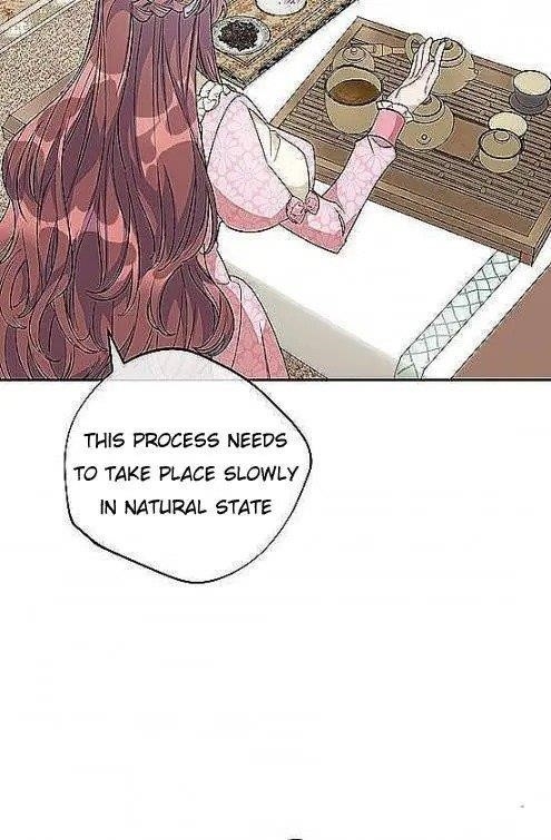 The Duchess 50 Tea Recipes - Chapter 97 Page 39