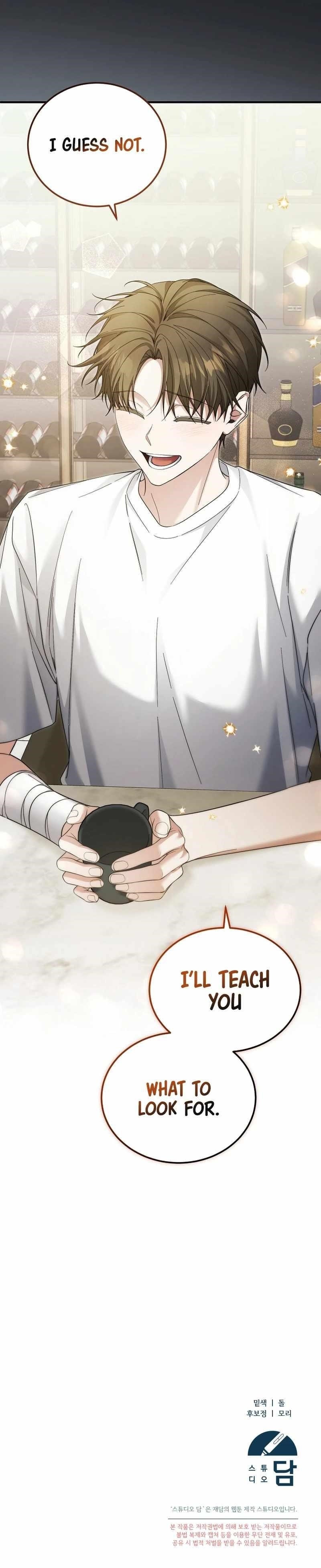 I’ll Retire After Saving the World - Chapter 45 Page 25