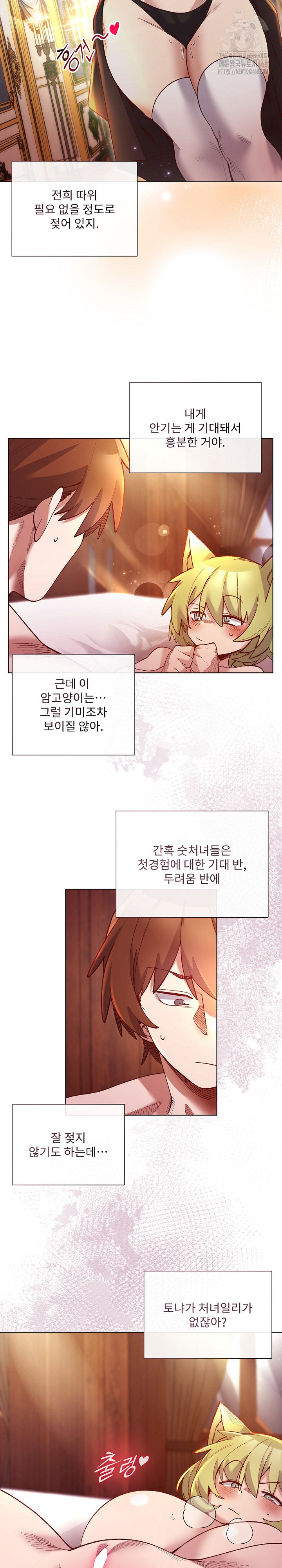 I Will Protect the Lady Raw - Chapter 25 Page 5