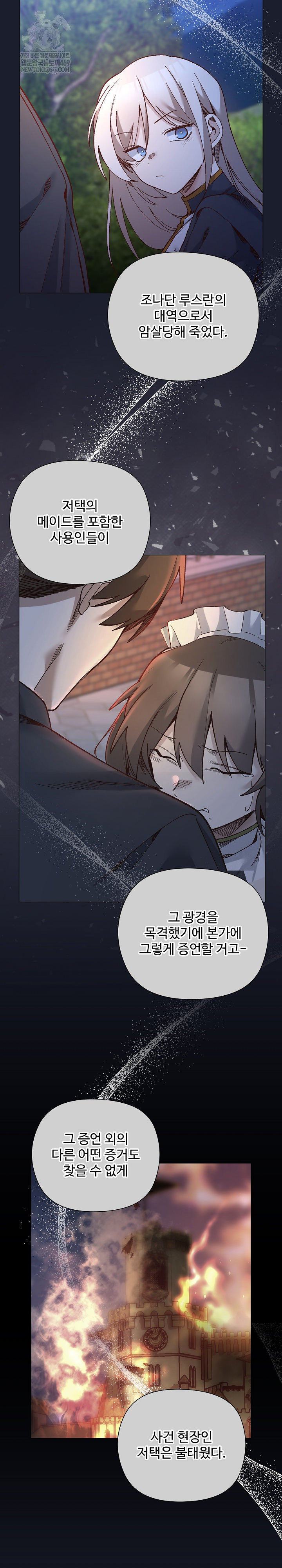 I Will Protect the Lady Raw - Chapter 53 Page 25