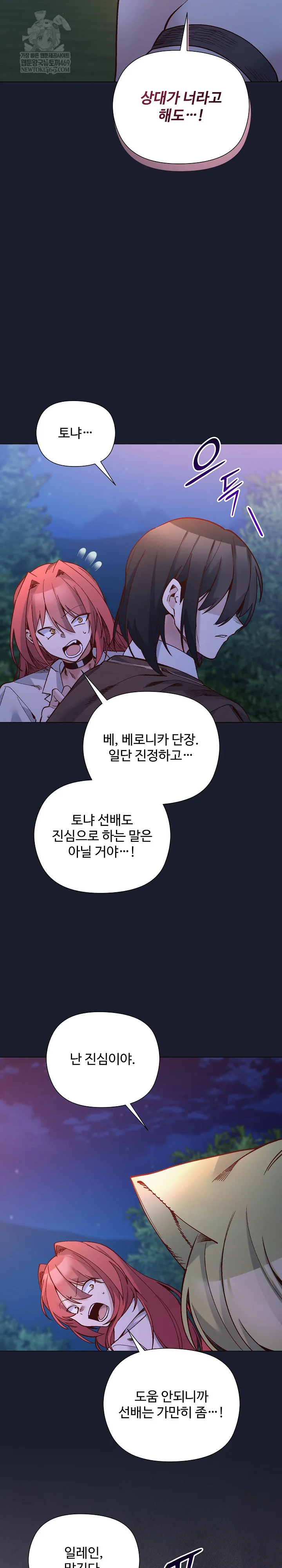 I Will Protect the Lady Raw - Chapter 54 Page 12