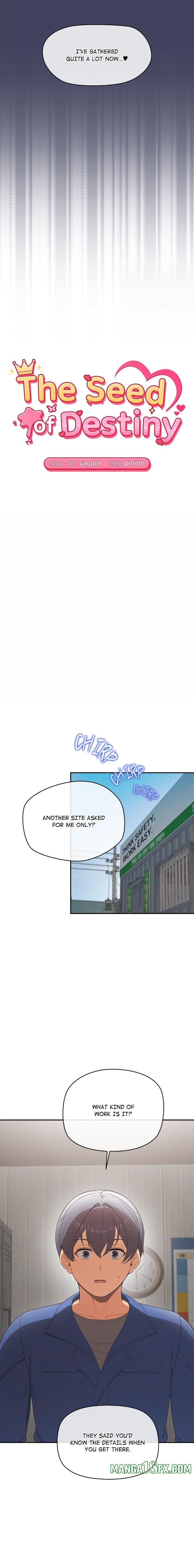 The Seed of Destiny - Chapter 22 Page 3