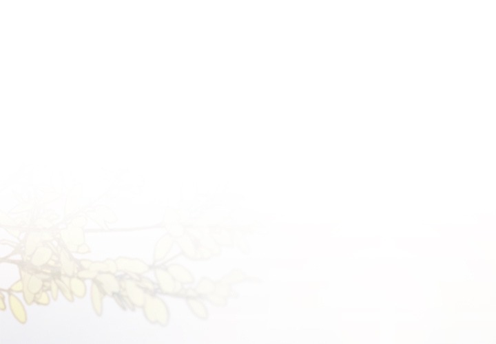 Someone Stop Her! (Uncensored) - Chapter 22 Page 1