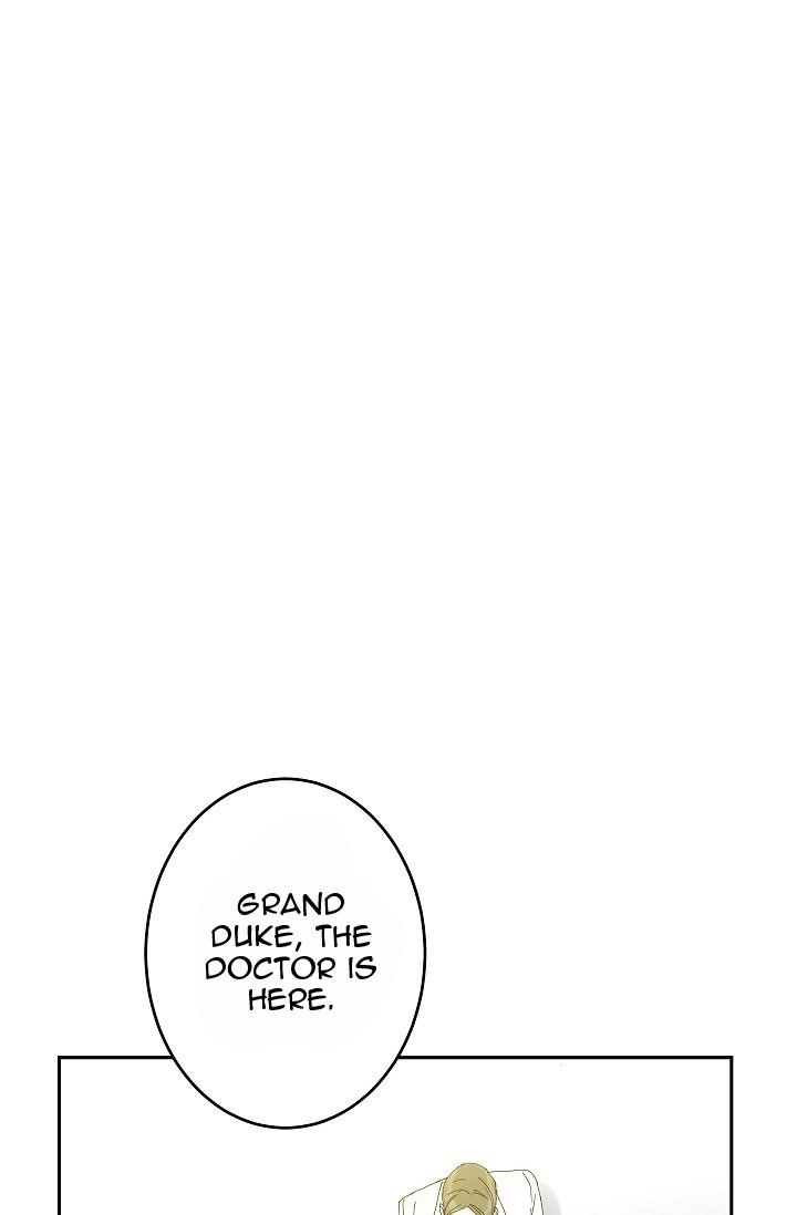 This is an Obvious Fraudulent Marriage - Chapter 23 Page 37