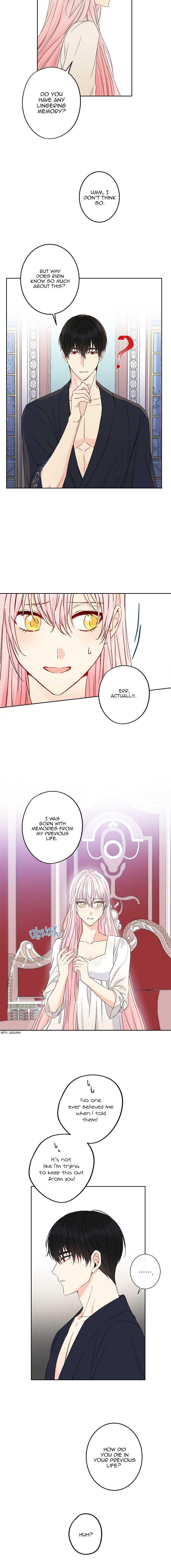 This is an Obvious Fraudulent Marriage - Chapter 48 Page 5