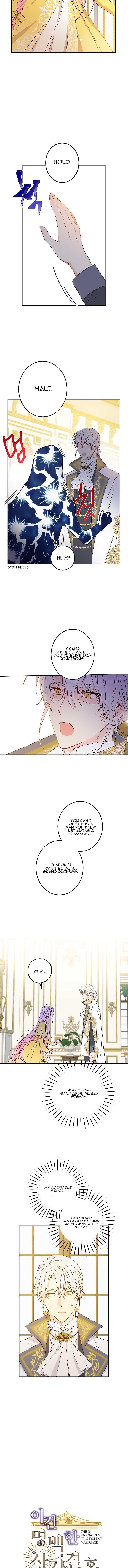 This is an Obvious Fraudulent Marriage - Chapter 49 Page 4