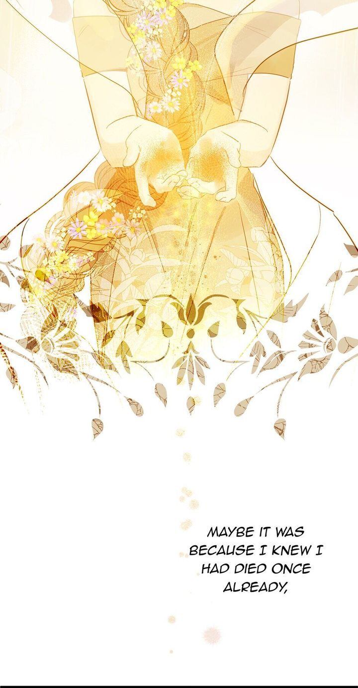 This is an Obvious Fraudulent Marriage - Chapter 72 Page 65