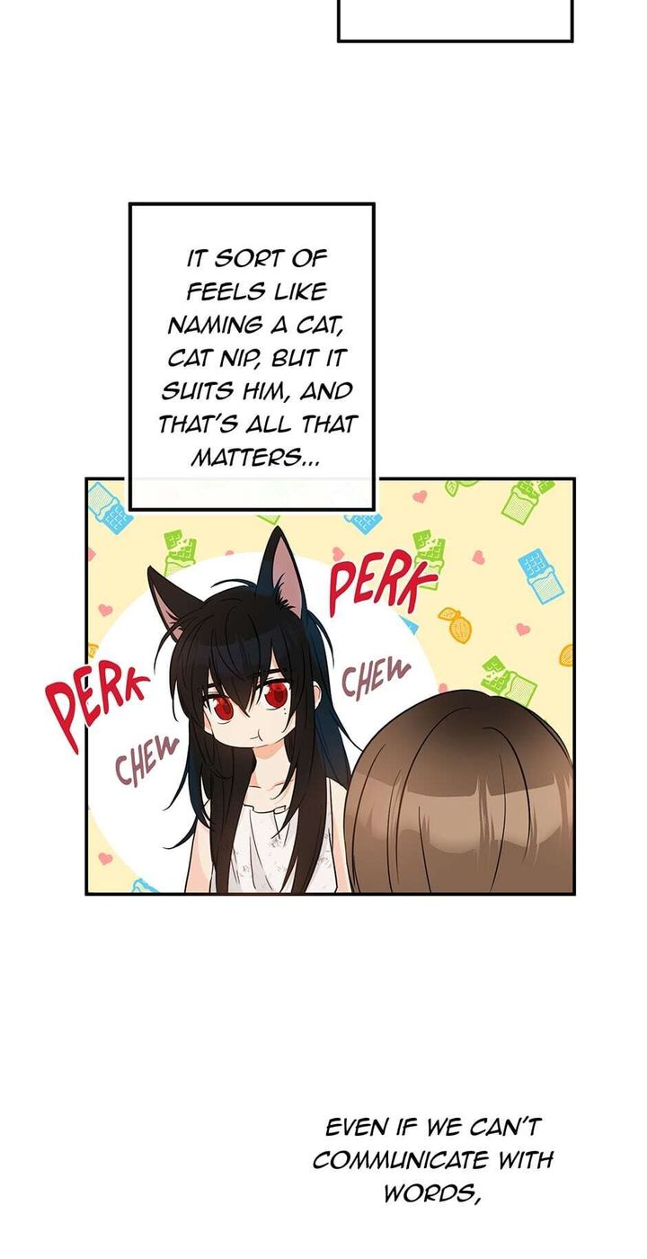 This is an Obvious Fraudulent Marriage - Chapter 72 Page 8