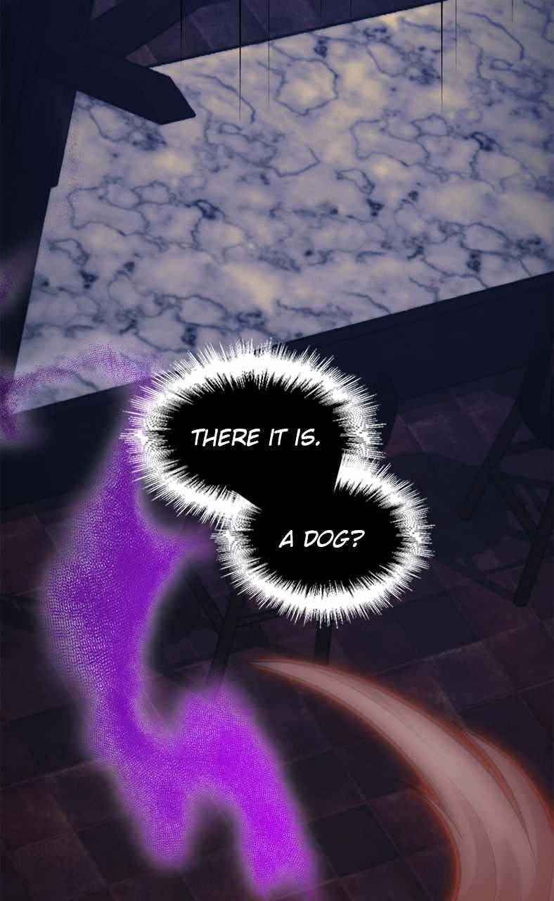 Paranoid Mage - Chapter 5 Page 36