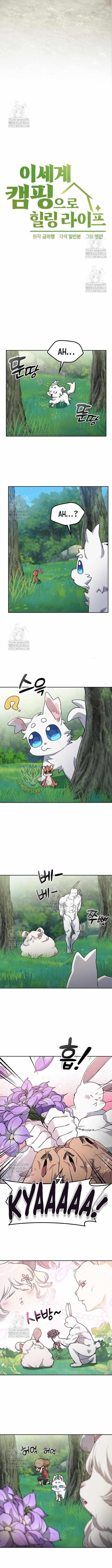 Healing Life Through Camping In Another World - Chapter 81 Page 5