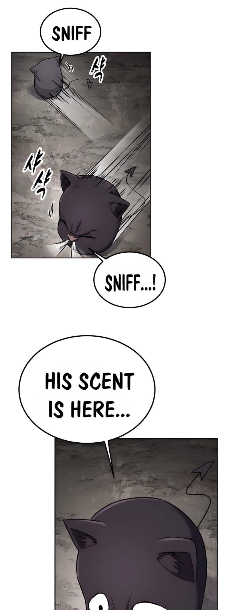 The Boy Of Death - Chapter 288 Page 9