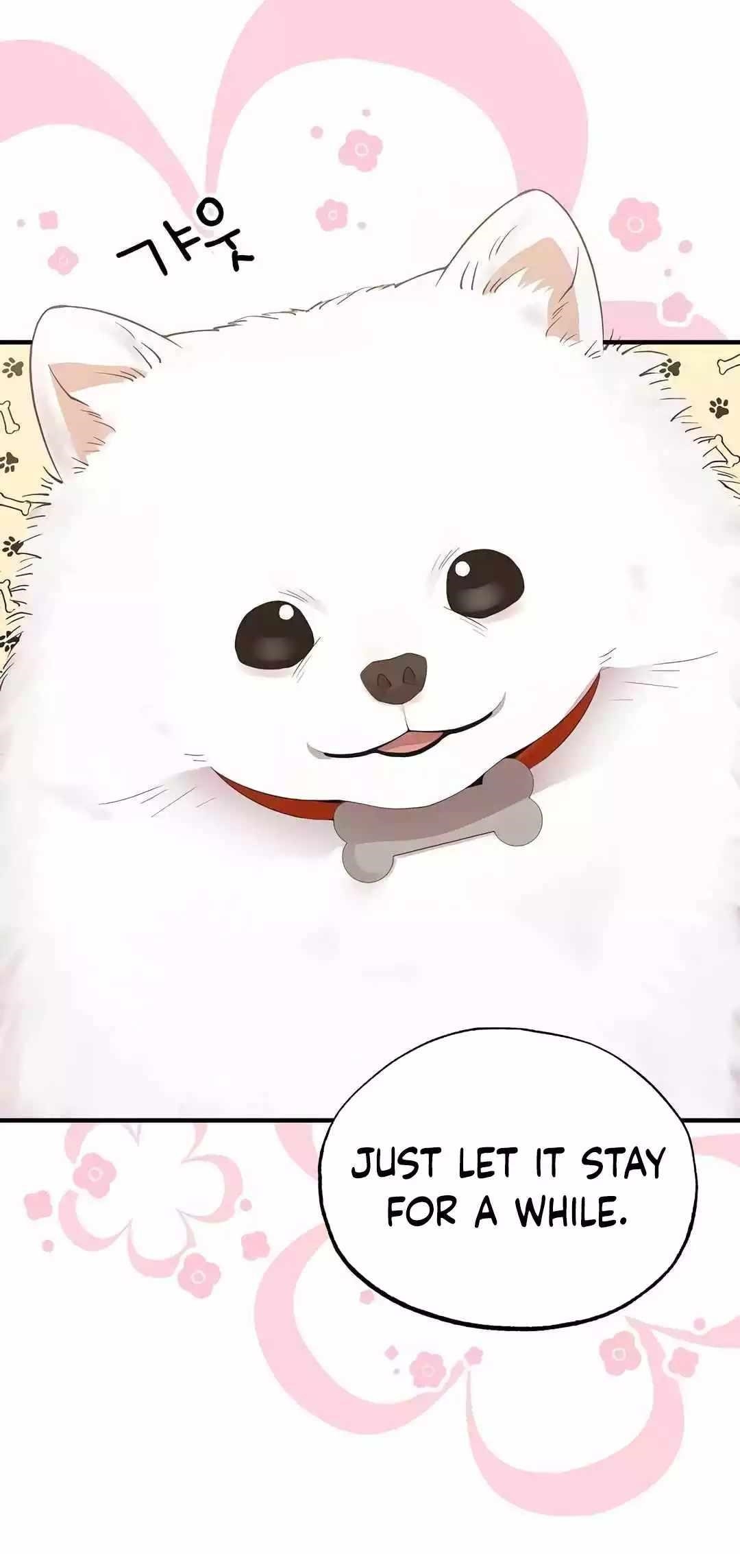 Magical Realm Shopkeeper - Chapter 13 Page 17