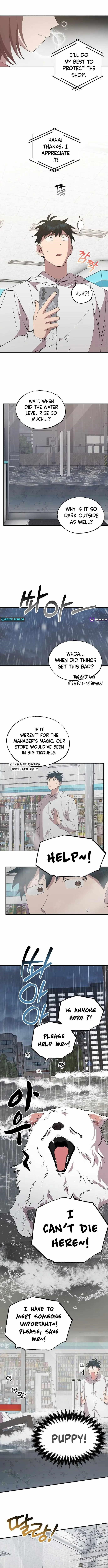 Magical Realm Shopkeeper - Chapter 69 Page 9