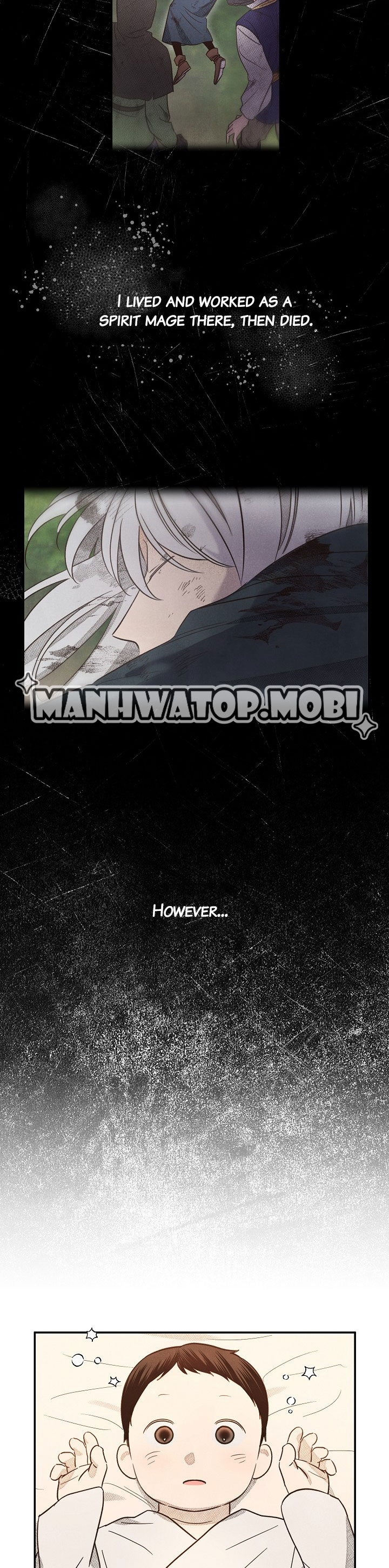 S-Class Spirit Master’s Taming Diary - Chapter 1 Page 10