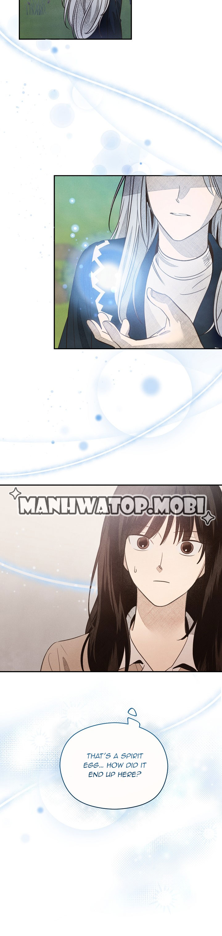 S-Class Spirit Master’s Taming Diary - Chapter 1 Page 26