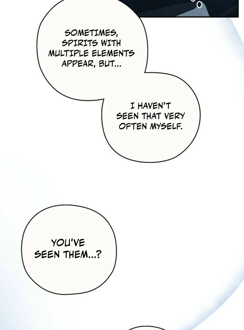 S-Class Spirit Master’s Taming Diary - Chapter 46 Page 71