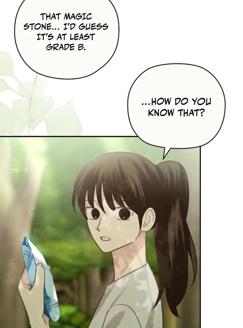 S-Class Spirit Master’s Taming Diary - Chapter 48 Page 18