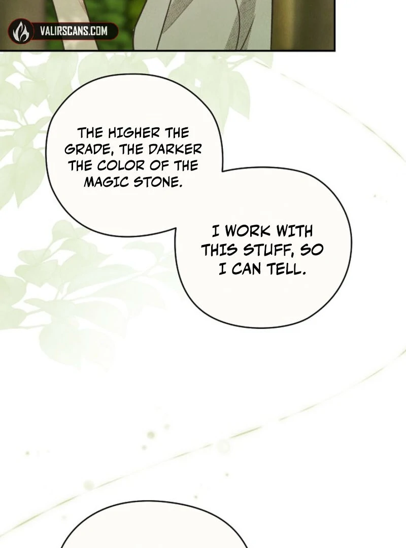 S-Class Spirit Master’s Taming Diary - Chapter 48 Page 19