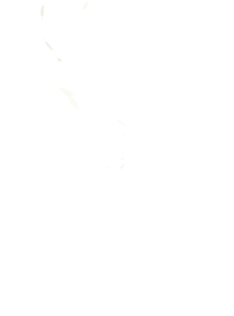 S-Class Spirit Master’s Taming Diary - Chapter 48 Page 25