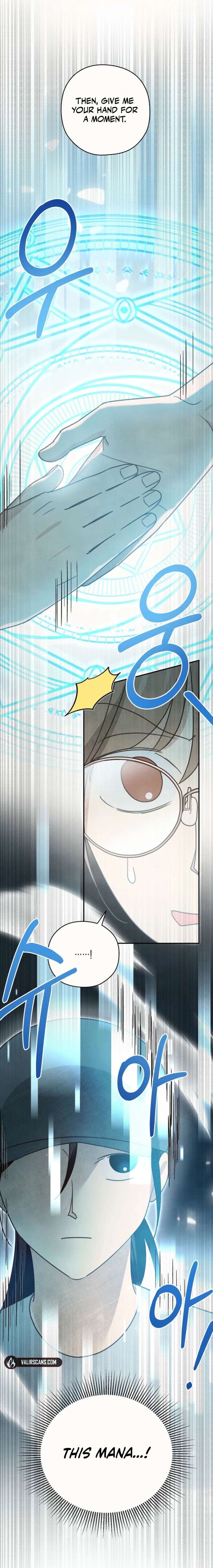 S-Class Spirit Master’s Taming Diary - Chapter 62 Page 9