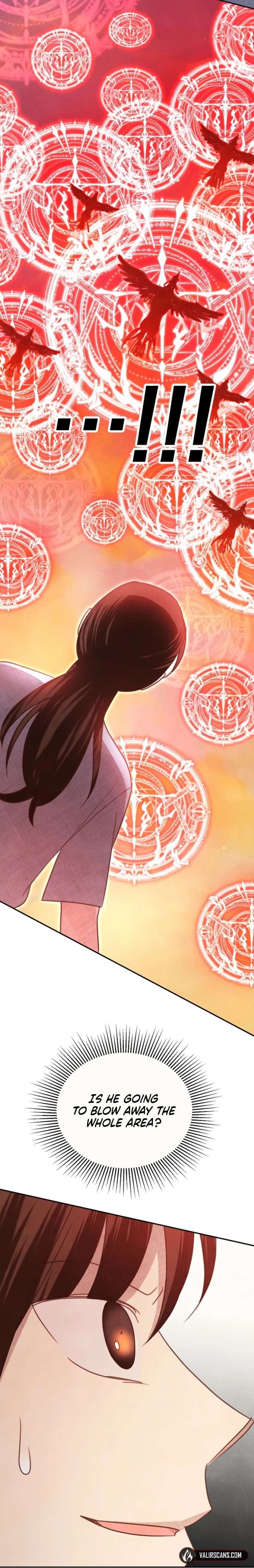 S-Class Spirit Master’s Taming Diary - Chapter 63 Page 12