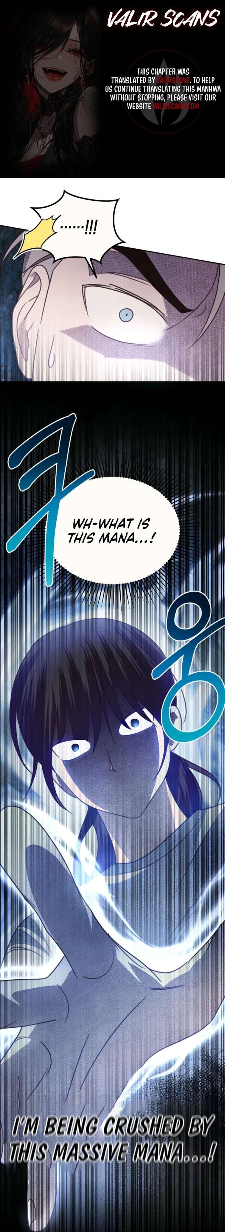 S-Class Spirit Master’s Taming Diary - Chapter 64 Page 1