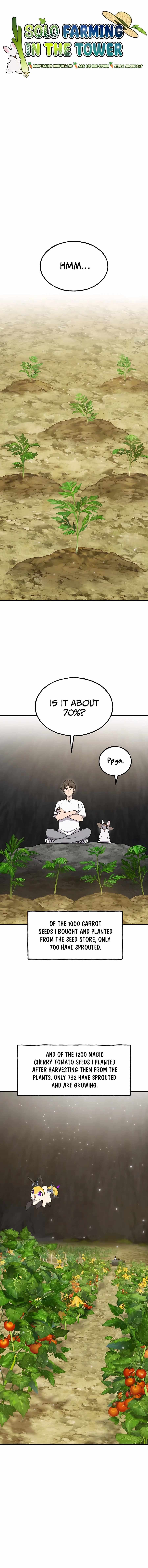 Solo Farming In The Tower - Chapter 13 Page 1