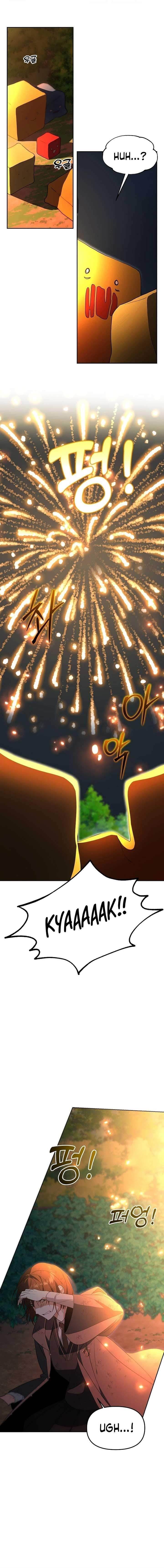 The Genius Tamer of the Academy - Chapter 6 Page 12