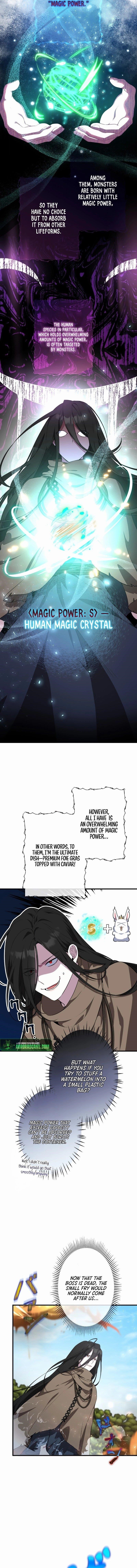 The Fake Master Who Accidentally Became the Strongest - Chapter 5 Page 5