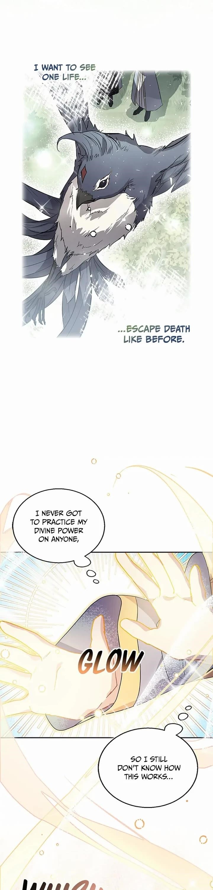 I'm a Fake Saintess but the Gods are Obsessed - Chapter 27 Page 27