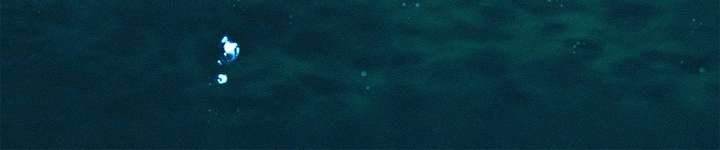 Don’t Be Carelessly Friendly - Chapter 59 Page 29