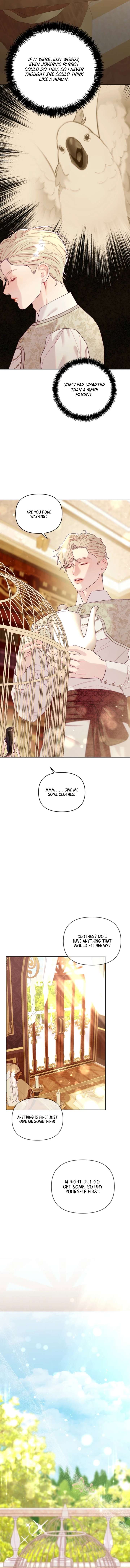 The Collector’s Cage - Chapter 5 Page 11