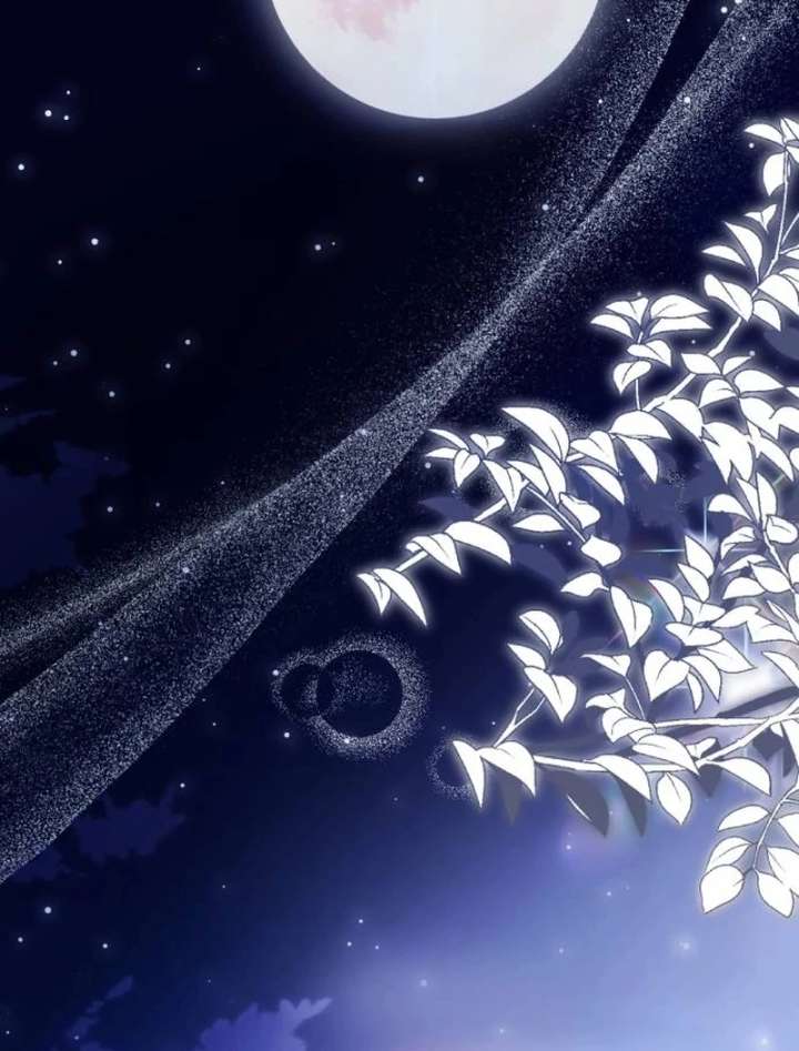 The Witch’s Tears Become Poison - Chapter 1 Page 330