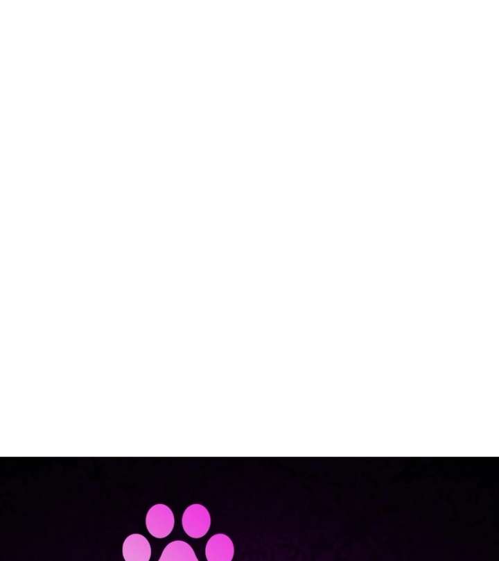 The Witch’s Tears Become Poison - Chapter 1 Page 337