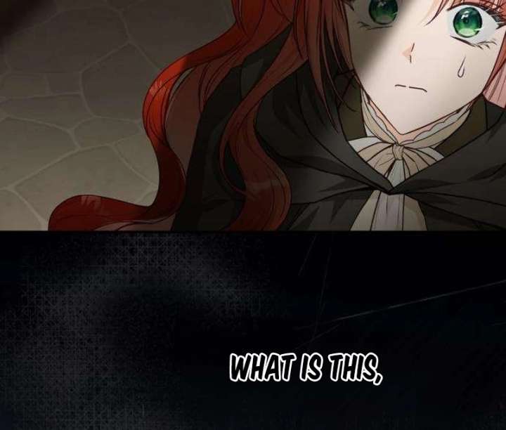 The Witch’s Tears Become Poison - Chapter 6 Page 107