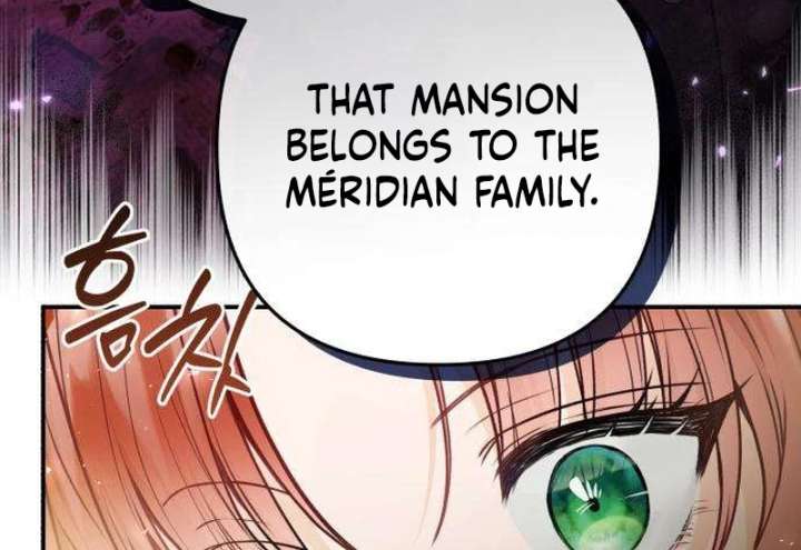 The Witch’s Tears Become Poison - Chapter 9 Page 47