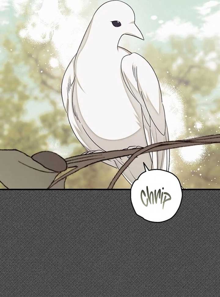 I Became the Mother of the Supporting Male Lead’s Son - Chapter 31 Page 71