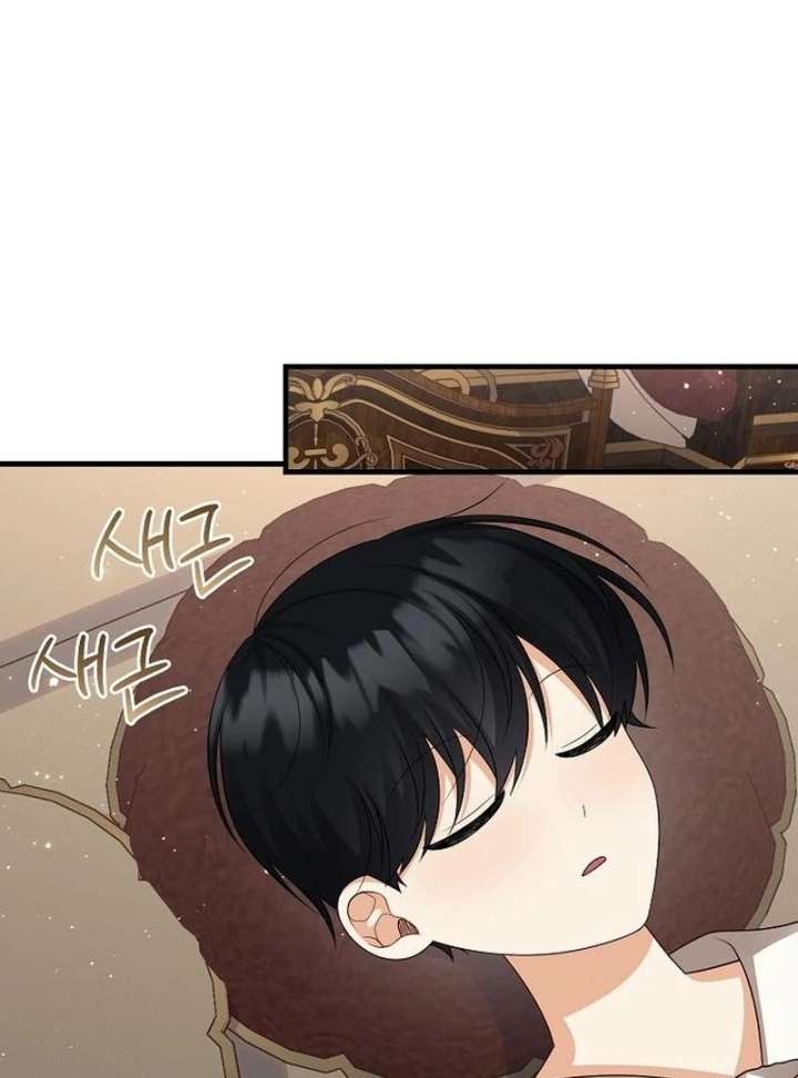 I Became the Mother of the Supporting Male Lead’s Son - Chapter 43 Page 48