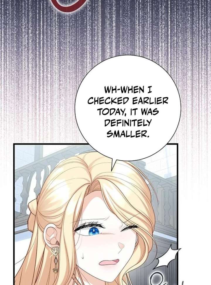 I Became the Mother of the Supporting Male Lead’s Son - Chapter 46 Page 73